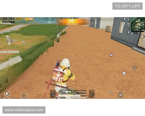 和平精英热议：FPX心理素质引发的争议与讨论