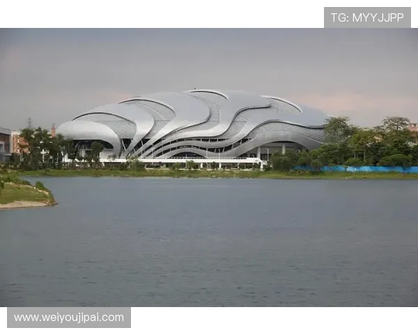 广州极限运动队技术创新引领潮流成就极限运动新高度