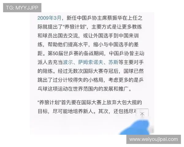 广州乒乓球队在联赛中的技术表现分析与未来发展展望