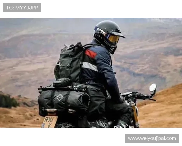 成都极限运动队协作研究与实践探索的深度分析与启示