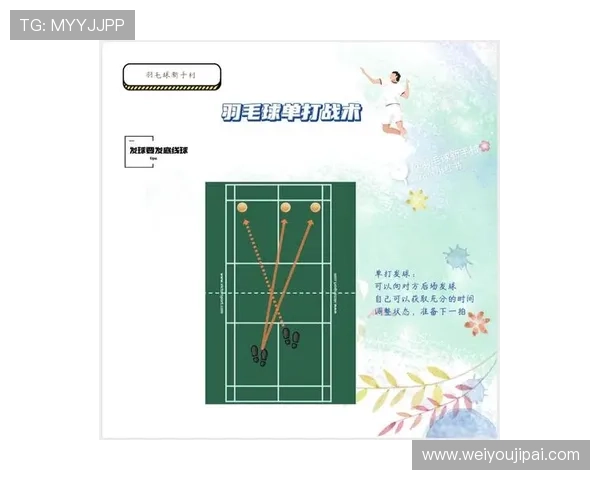 成都羽毛球队战术解析与控制体系的深度剖析与应用探讨