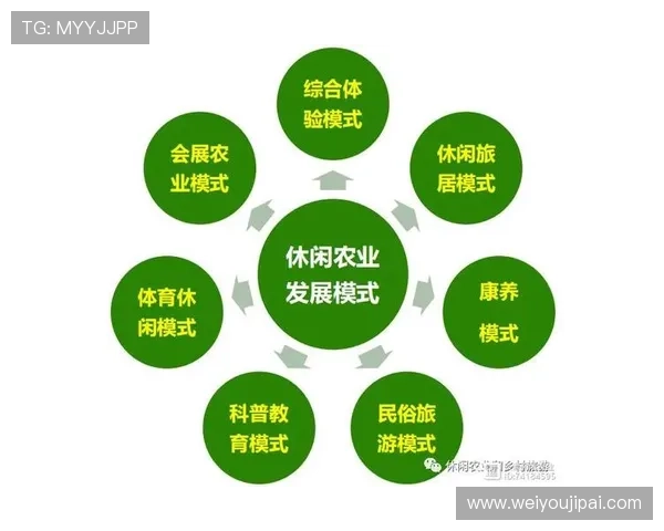 成都羽毛球队运营模式创新探索与发展路径分析