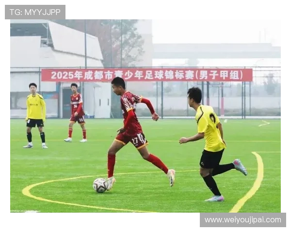 成都足球队在锦标赛中的耐力表现分析与总结